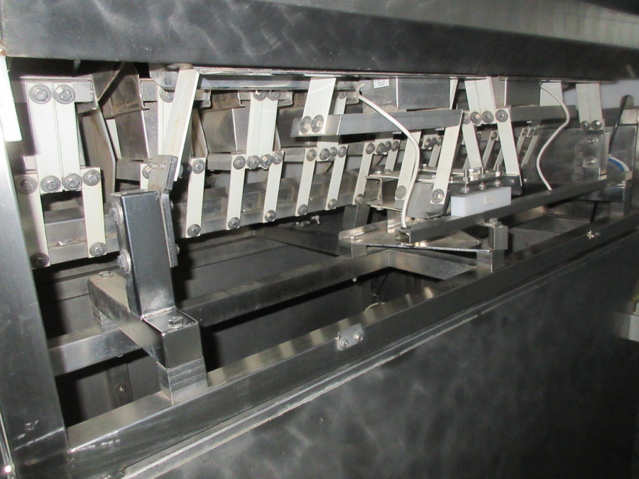 5612 Newtec 2009G linear weigher for carrots / potato