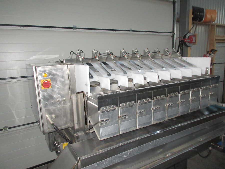 5612 Newtec 2009G linear weigher for carrots / potato