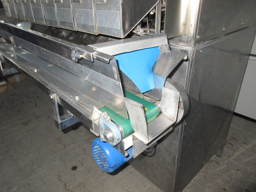 5612 Newtec 2009G linear weigher for carrots / potato
