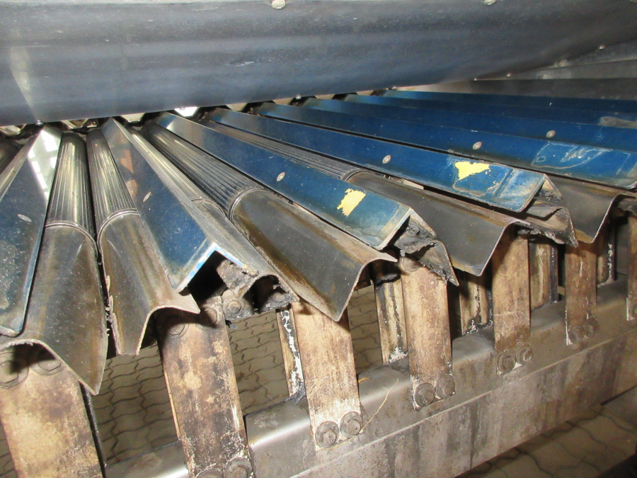 5659 Newtec Celox Möhrensortierer