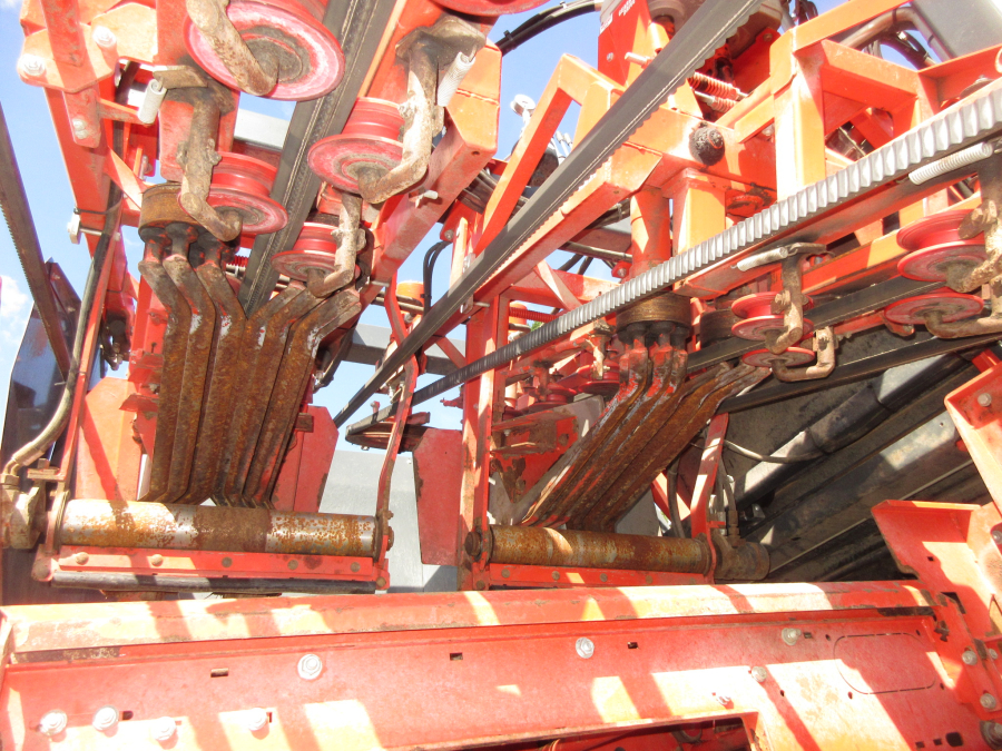 5662 Dewulf GKIIS carrot harvester 2 row with elevator