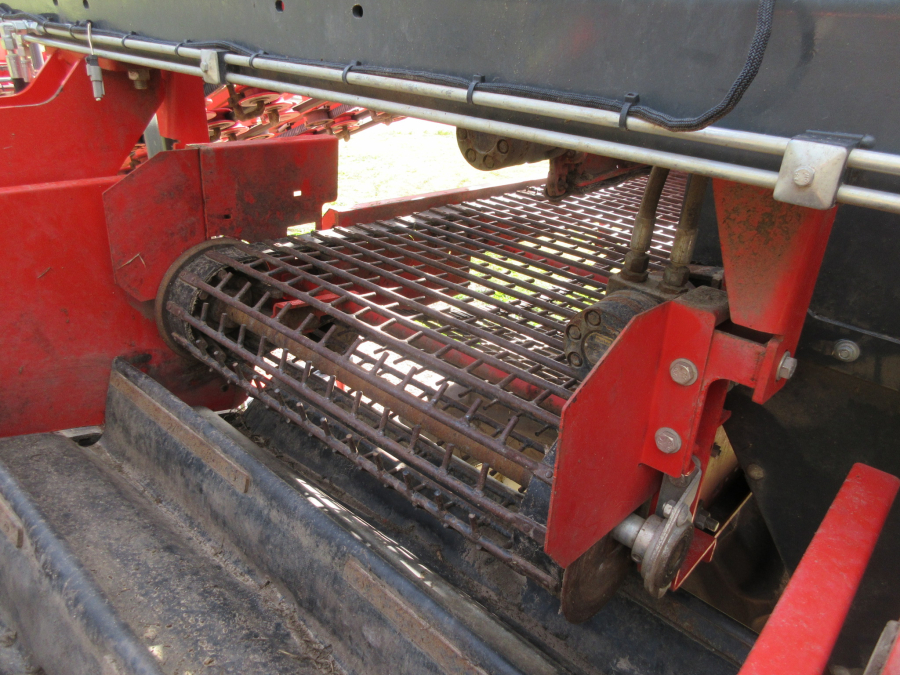 5662 Dewulf GKIIS carrot harvester 2 row with elevator