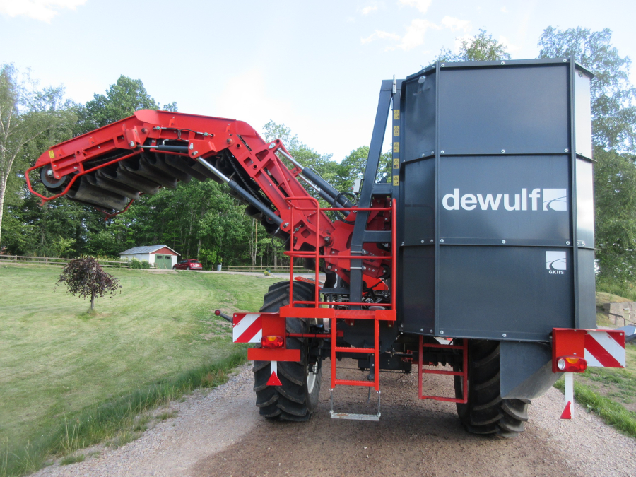 5662 Dewulf GKIIS carrot harvester 2 row with elevator