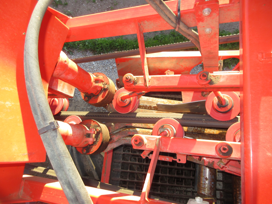 5662 Dewulf GKIIS carrot harvester 2 row with elevator