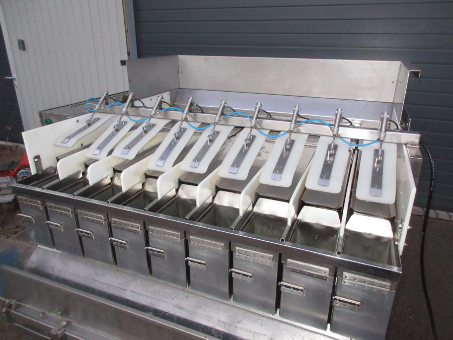 5727 Newtec 2009G linear weigher for carrots and potato