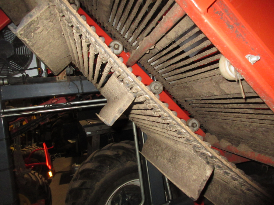 5739 Dewulf GBC carrot harvester 1 row with bunker