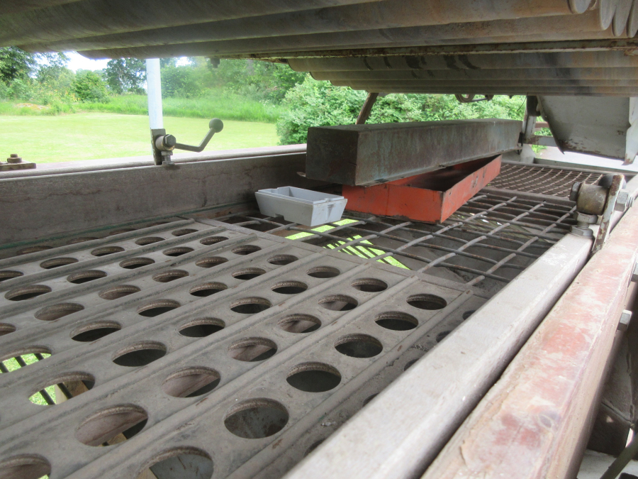 5990 Langco potato sorter / onion sorter