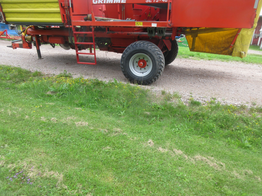 5998 Grimme SE75-40 potato harvester
