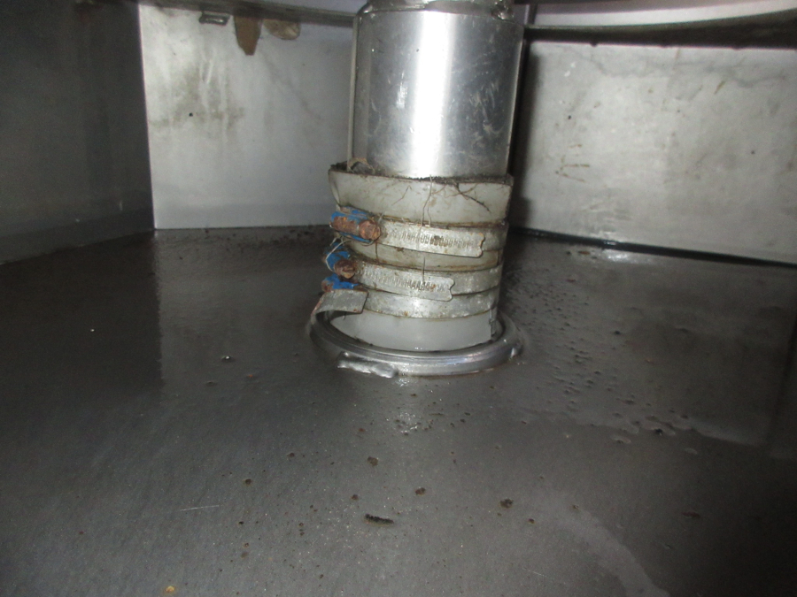 6009 Destoner vertical screw for peeling