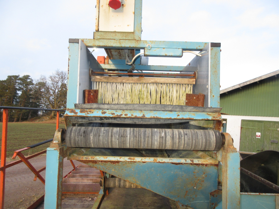 6023 EMVE potato screen grader line 