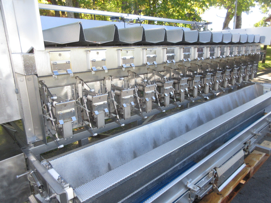 6042 Newtec 2014PCB 2B weigher for processed products