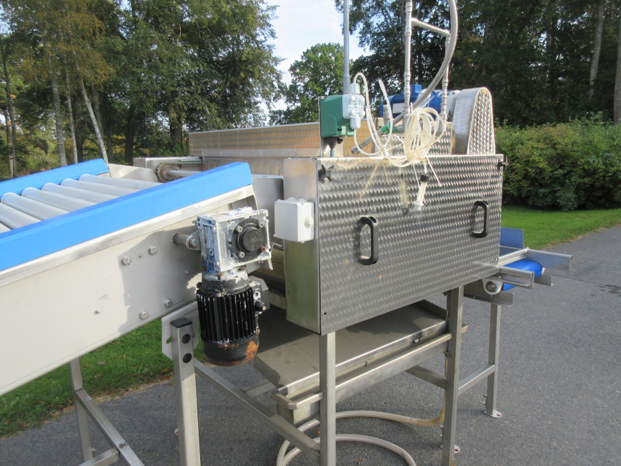 6054 Zumex Food Engineering washing line for citrus