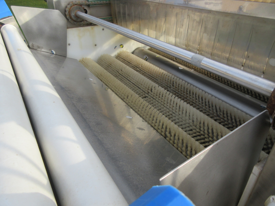 6054 Zumex Food Engineering washing line for citrus