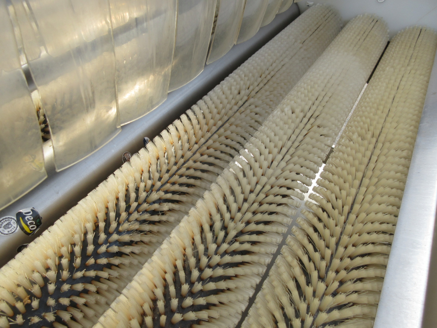 6054 Zumex Food Engineering washing line for citrus