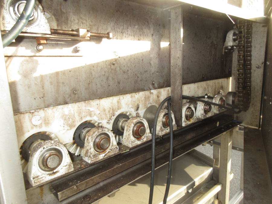6054 Zumex Food Engineering washing line for citrus