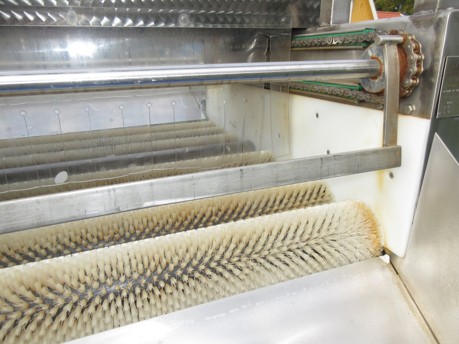 6054 Zumex Food Engineering washing line for citrus