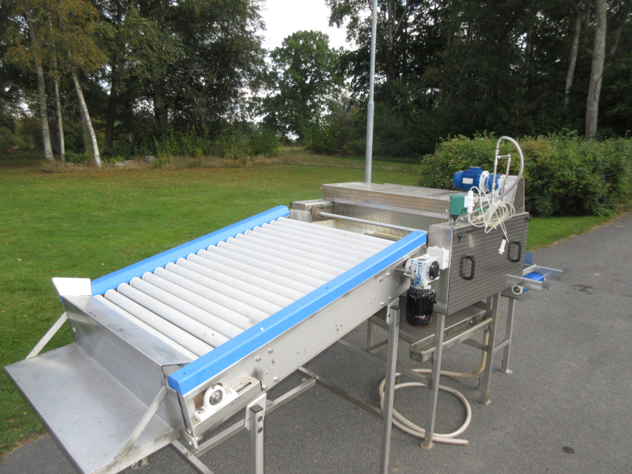 6054 Zumex Food Engineering washing line for citrus