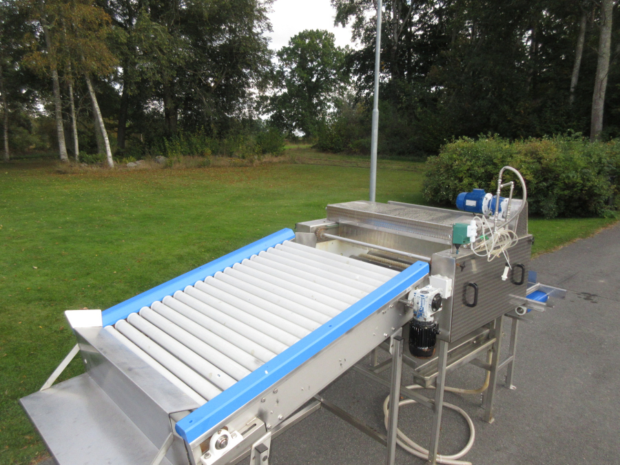 6054 Zumex Food Engineering washing line for citrus