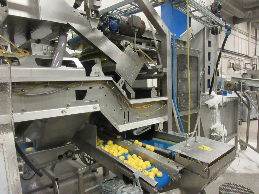 6147 Odenberg optisk sortare till skalad potatis mm