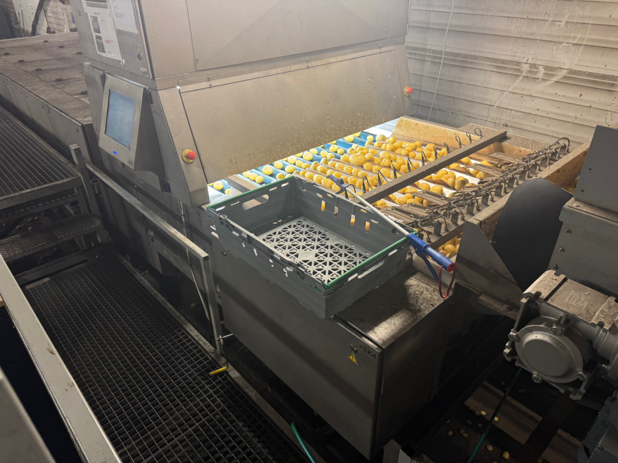 6187 Newtec celox optical sorter grader for potato