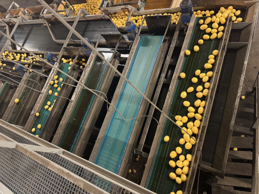 6187 Newtec celox optical sorter grader for potato