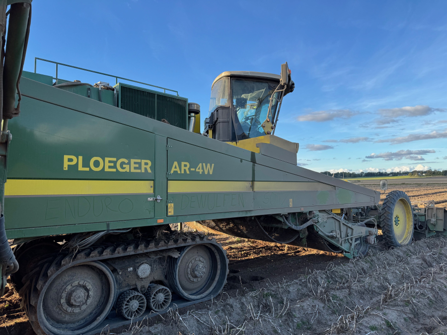 6202 Ploeger Kartoffelroder. 4 Reihe
