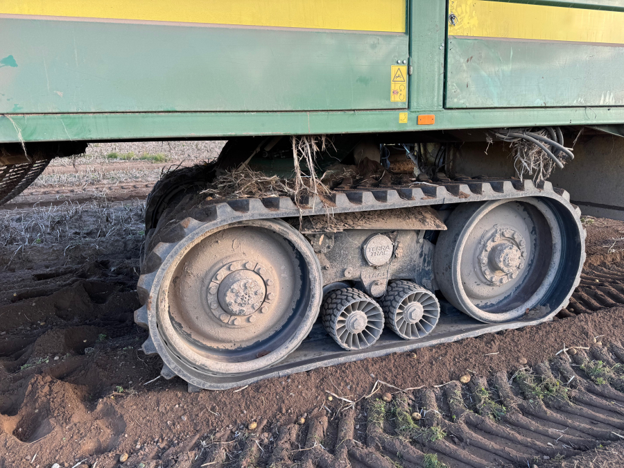 6202 Ploeger Kartoffelroder. 4 Reihe