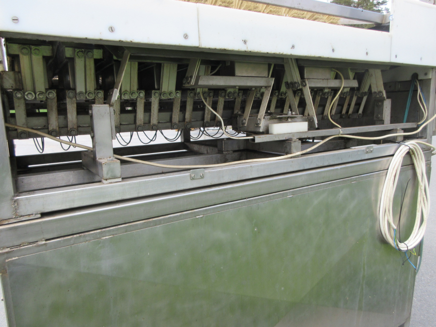 6236 Newtec + Gillenkirch Verpackungslinie für Apfel Äpfel