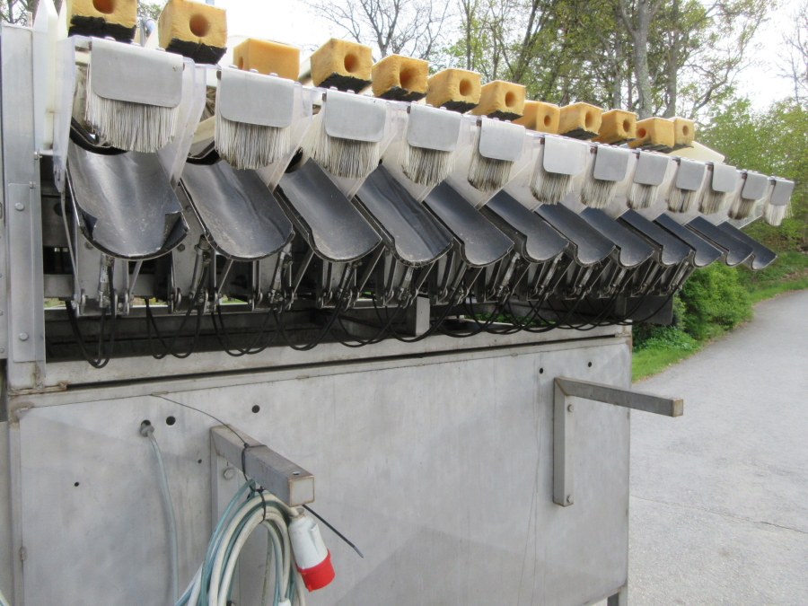 6236 Newtec + Gillenkirch Verpackungslinie für Apfel Äpfel