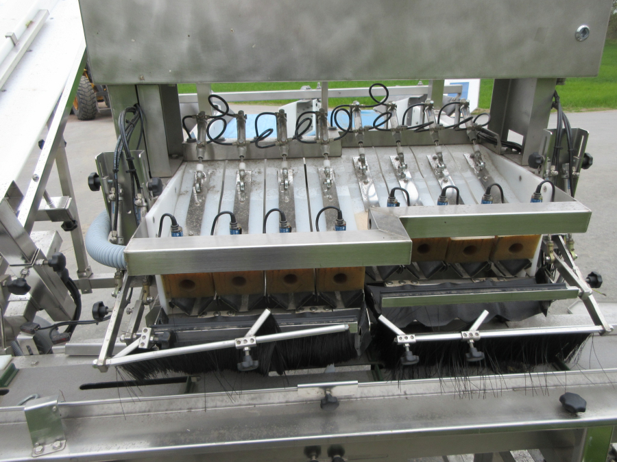 6236 Newtec + Gillenkirch Verpackungslinie für Apfel Äpfel