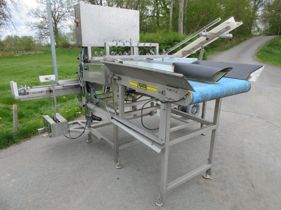 6236 Newtec + Gillenkirch Verpackungslinie für Apfel Äpfel