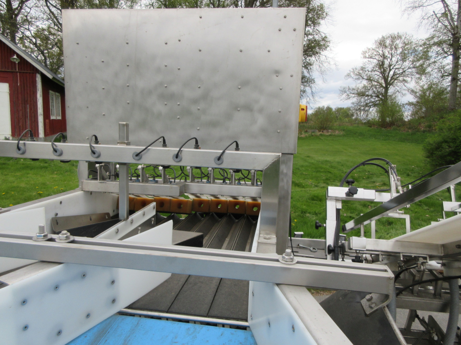6236 Newtec + Gillenkirch Verpackungslinie für Apfel Äpfel