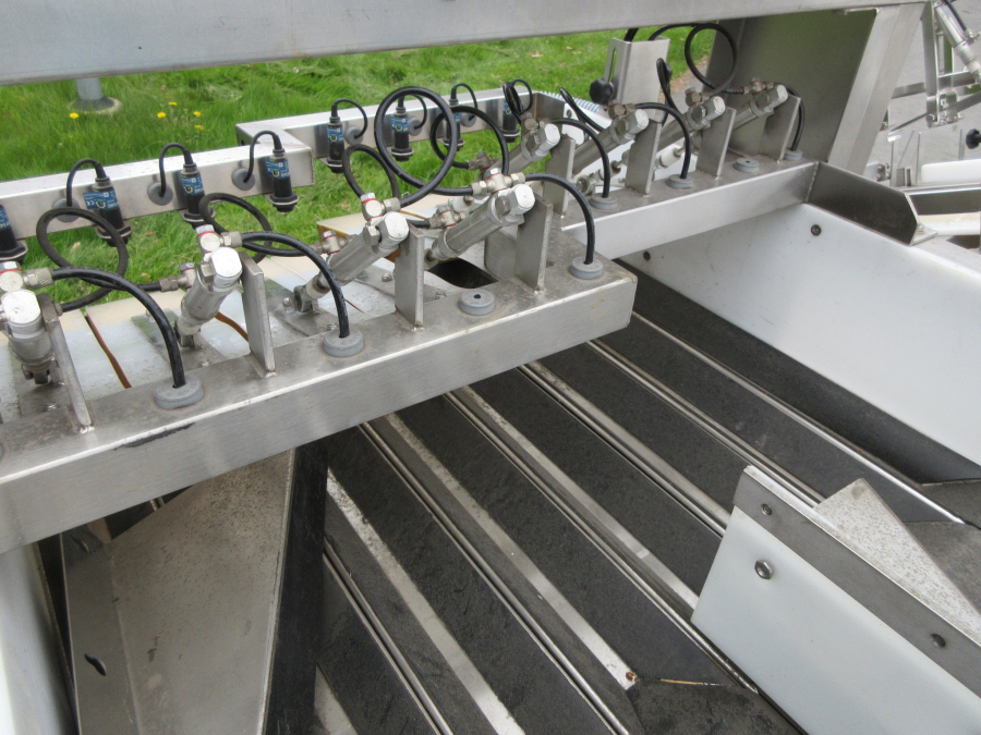 6236 Newtec + Gillenkirch Verpackungslinie für Apfel Äpfel