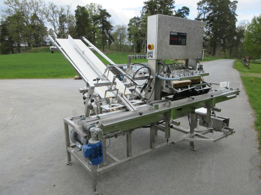 6236 Newtec + Gillenkirch Verpackungslinie für Apfel Äpfel