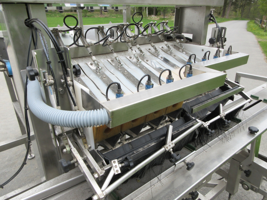 6236 Newtec + Gillenkirch Verpackungslinie für Apfel Äpfel