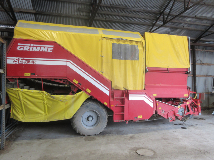 6281 Grimme SE85-55 potato harvester
