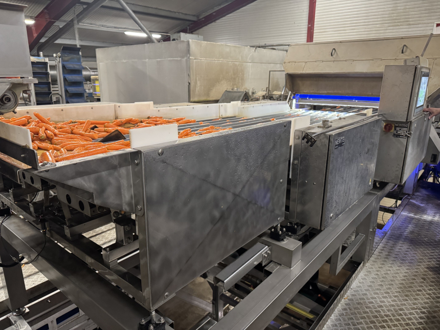 6307 Newtec Celox optical sorter for carrots