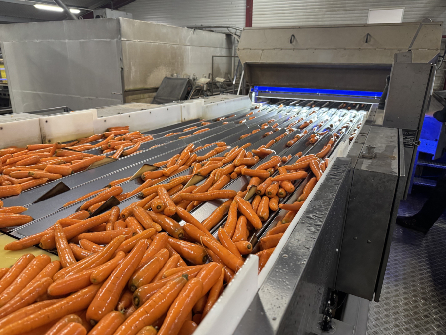 6307 Newtec Celox optical sorter for carrots