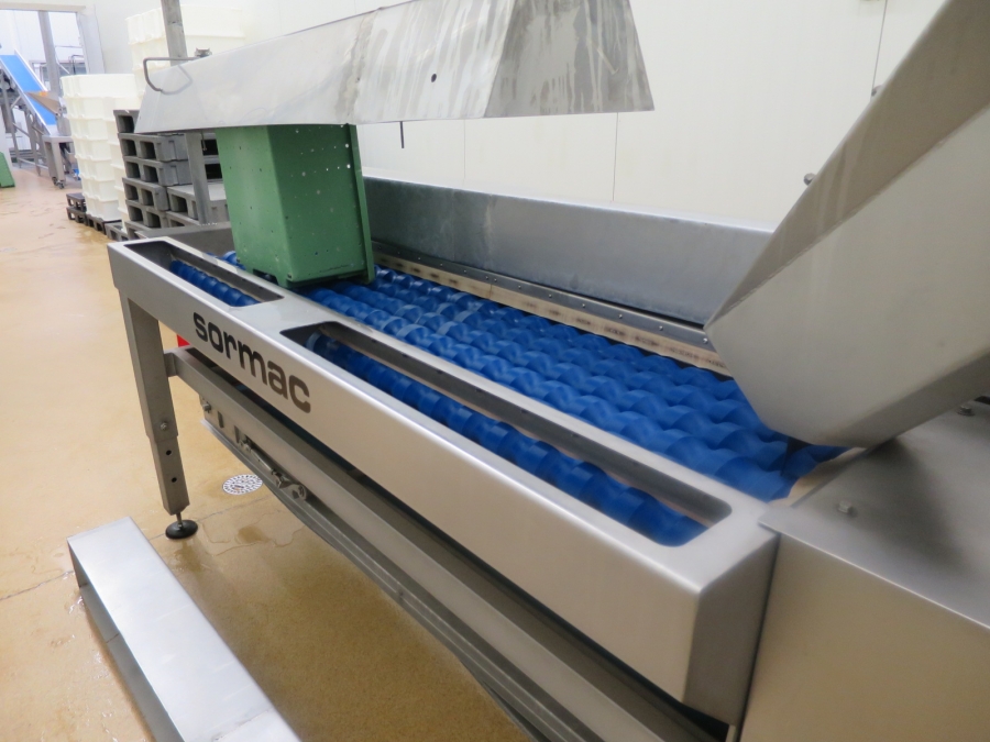 3561 SORMAC Zwiebelschälmaschine Komplettes linie