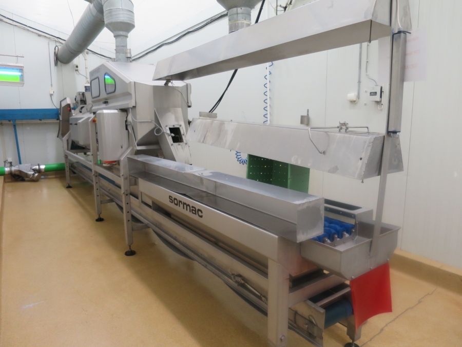 3561 SORMAC Zwiebelschälmaschine Komplettes linie
