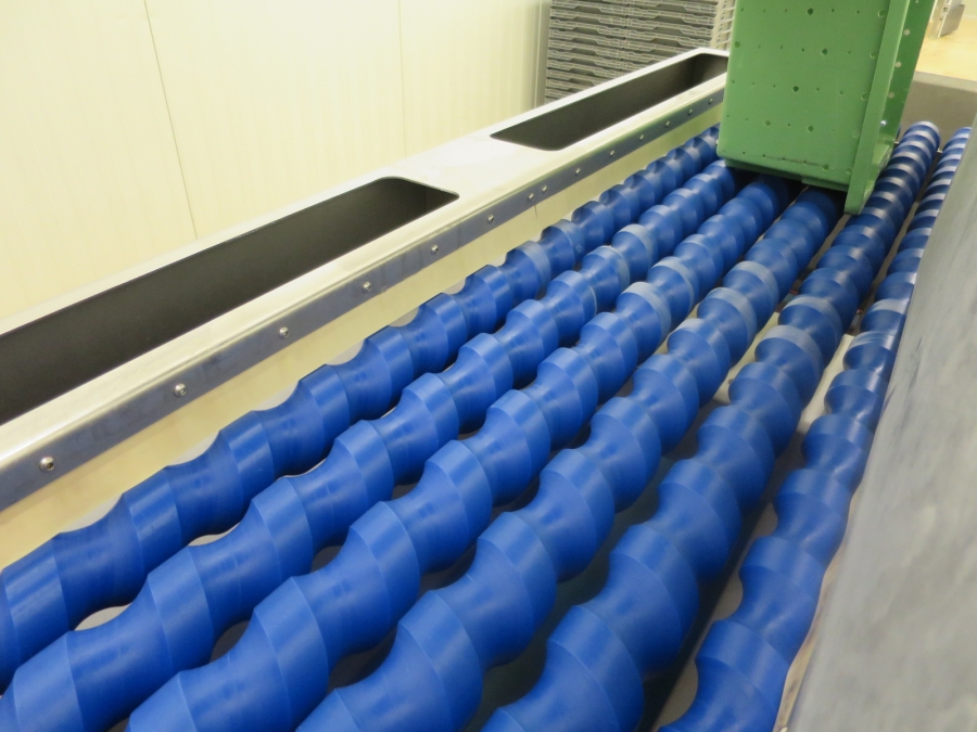 3561 SORMAC Zwiebelschälmaschine Komplettes linie