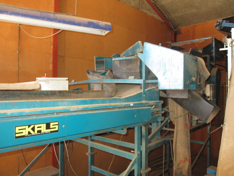 3576 SKALS potato grading line