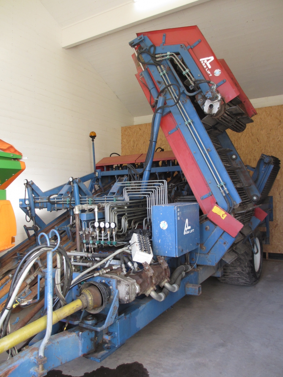 3590 Asa-Lift carrot harvester with elevator 4 row