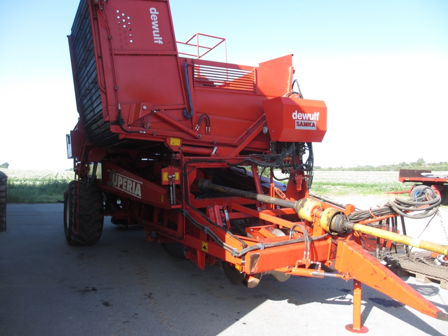 3636 Dewulf RDT superia 2 row potato harvester with bunker