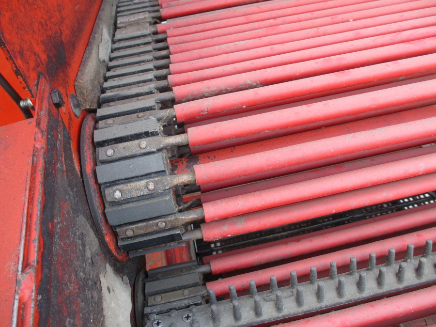 3636 Dewulf RDT superia 2 row potato harvester with bunker