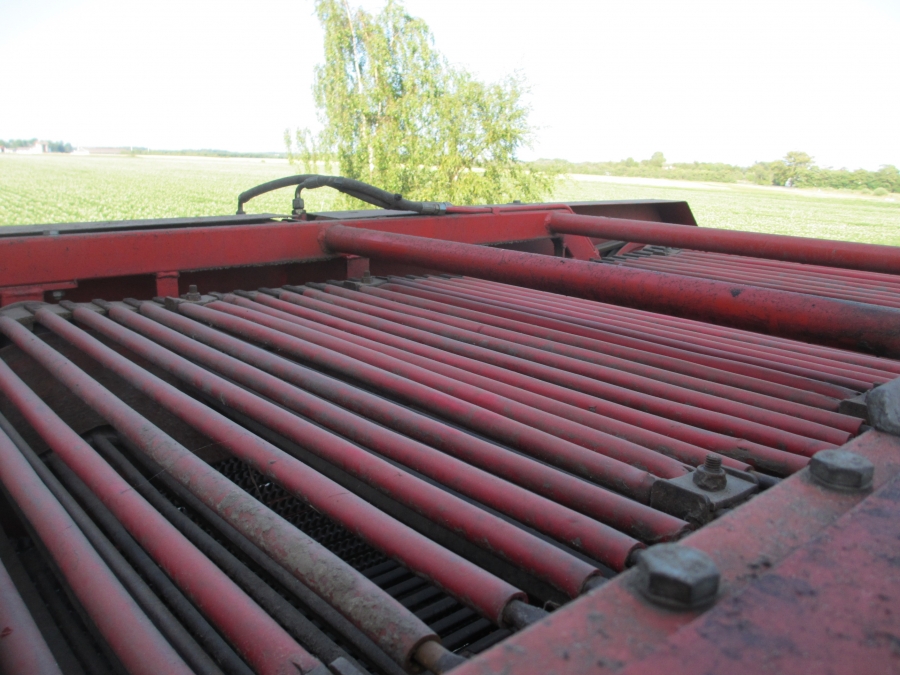 3636 Dewulf RDT superia 2 row potato harvester with bunker
