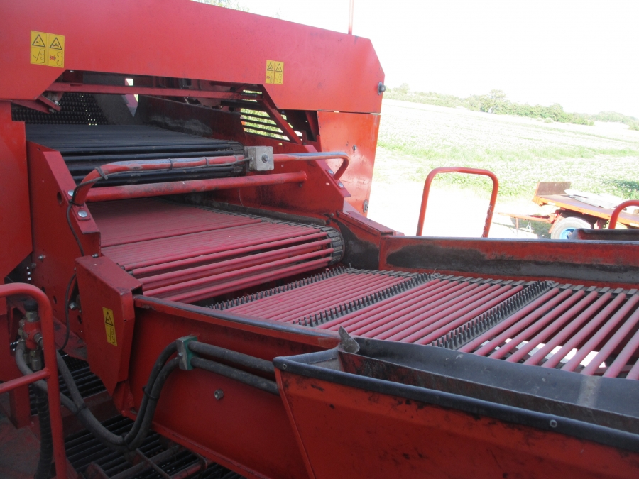 3636 Dewulf RDT superia 2 row potato harvester with bunker