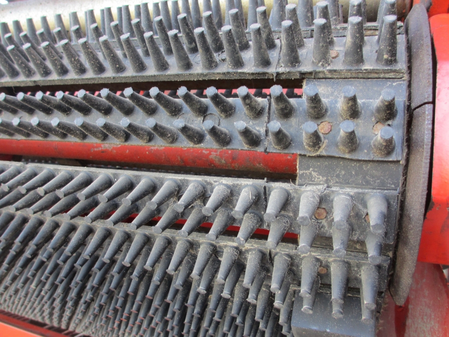 3636 Dewulf RDT superia 2 row potato harvester with bunker