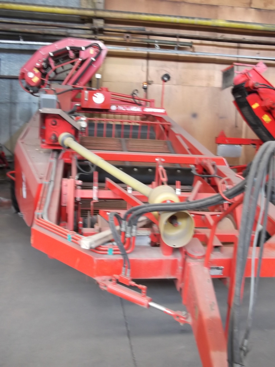 3637 Dewulf RDS 2 row Kartoffelroder