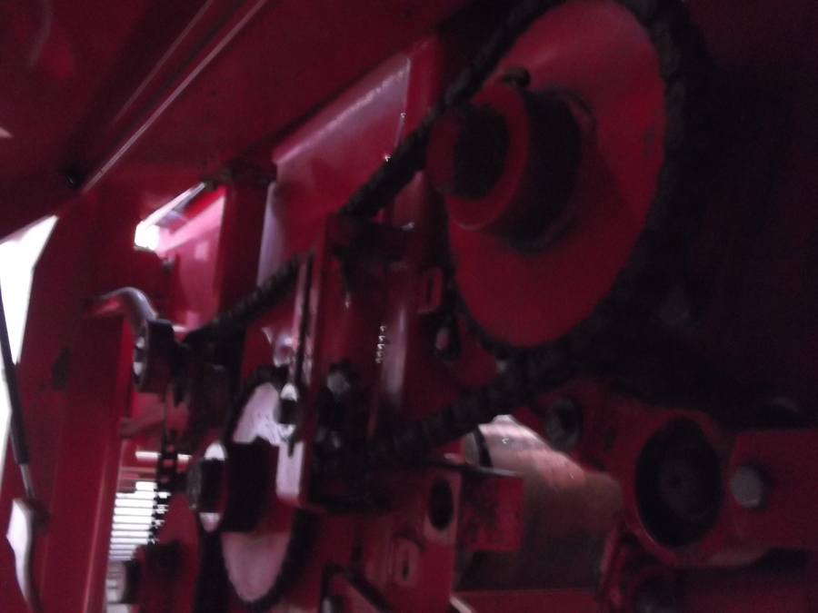 3637 Dewulf RDS 2 row Kartoffelroder